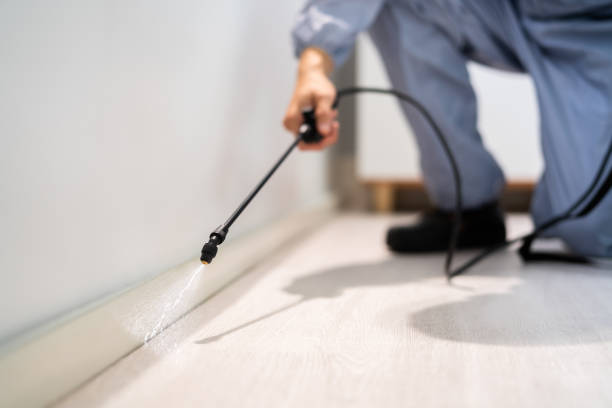 Licensed Exterminator service in Park Hill, OK - Show Me Pest Control