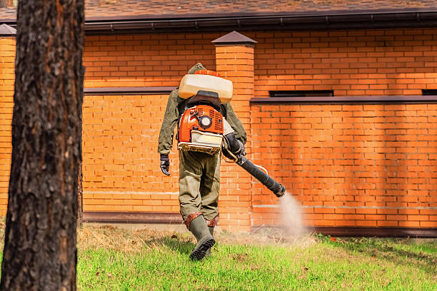 Bed Bug Clearance Verification and Documentation in Park Hill